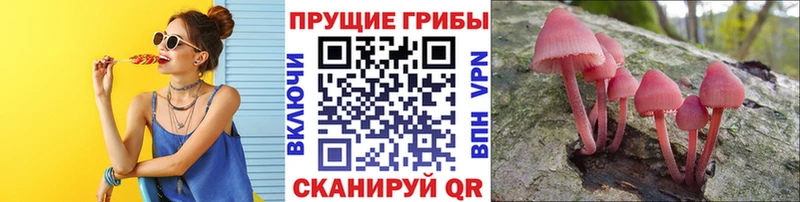 Псилоцибиновые грибы ЛСД  Остров 